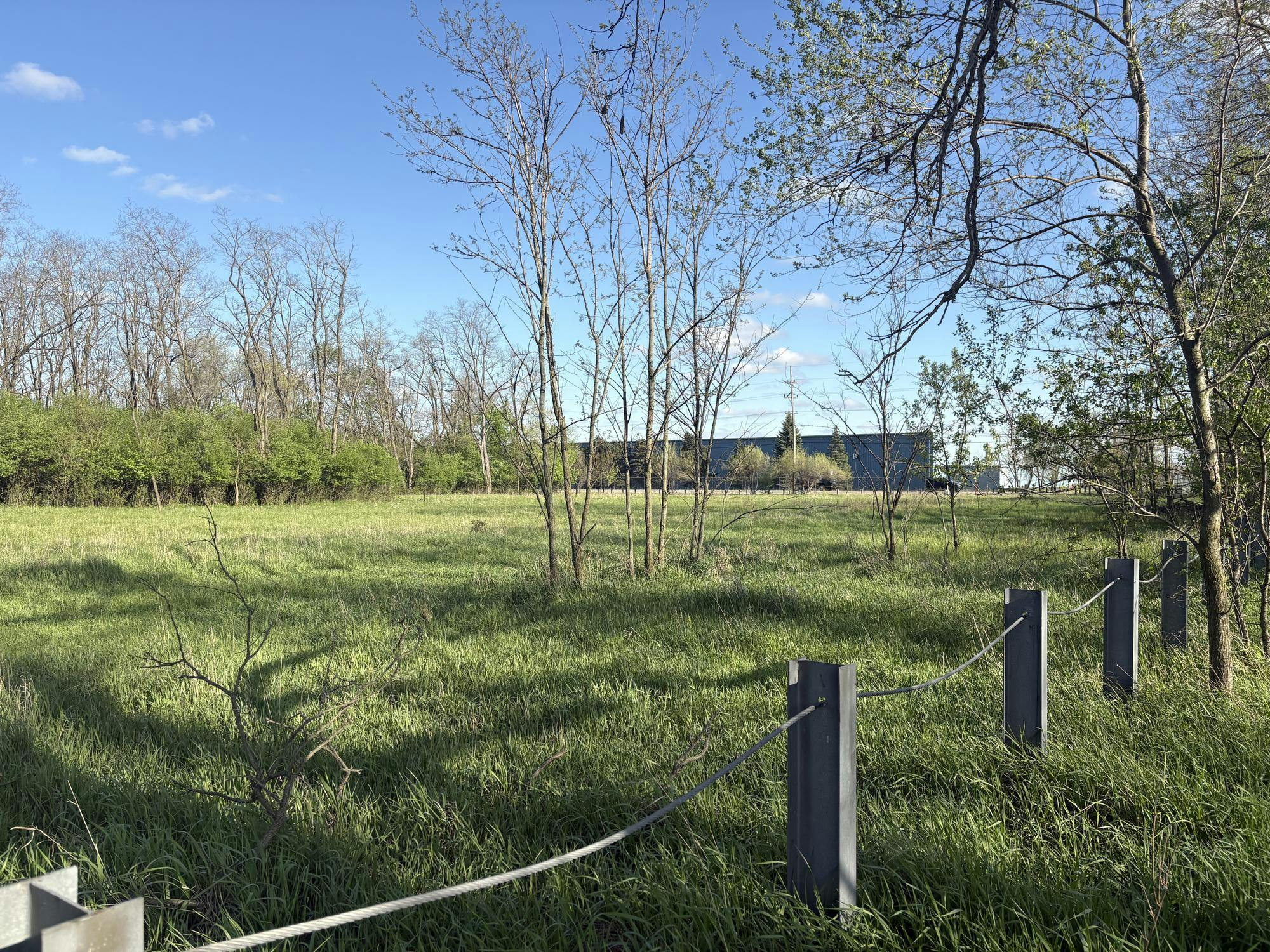 A grassy area surrounded by trees and woods.