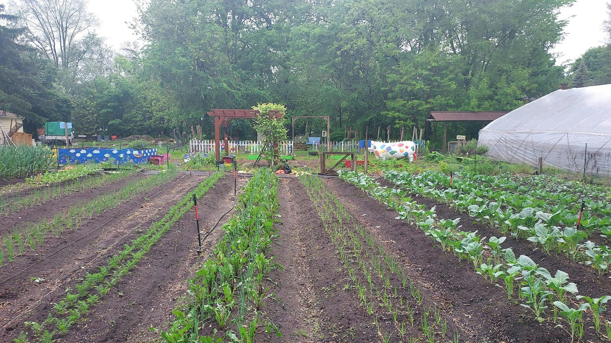 The Garden..jpg