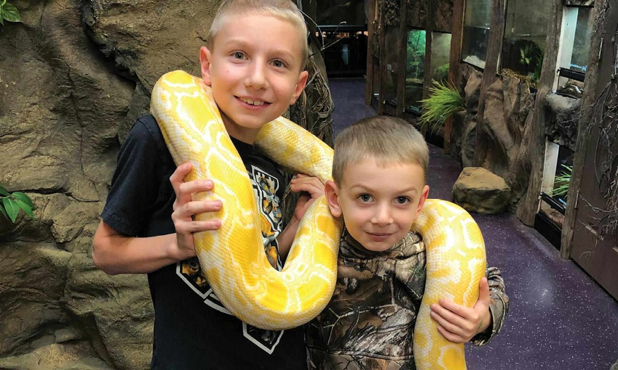 The Reptarium
