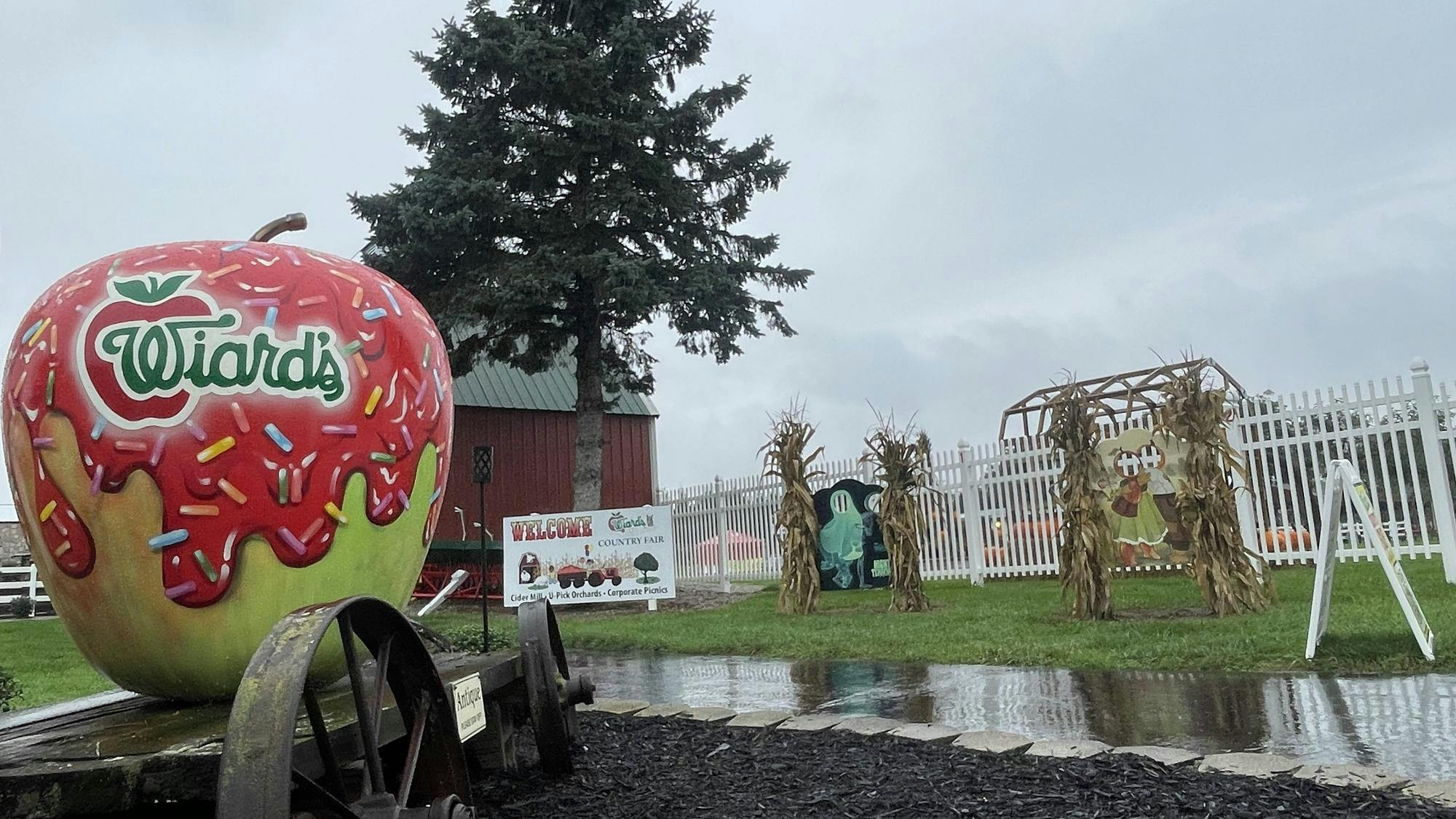 A large sculpture of a candy apple that says "Wiard's" sits on top of a wagon. In the background is a barn, some fencing and some photo stand-ins between stalks of corn.