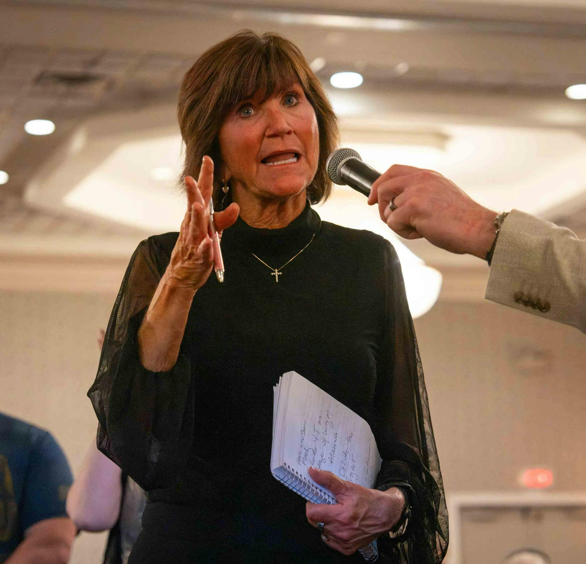 Brenda Stumbo speaks into a microphone.