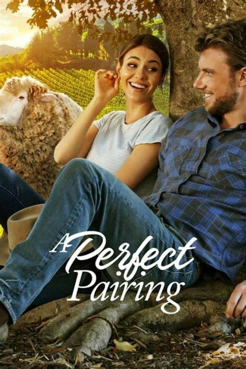 ‘A Perfect Pairing’: A perfectly decent movie