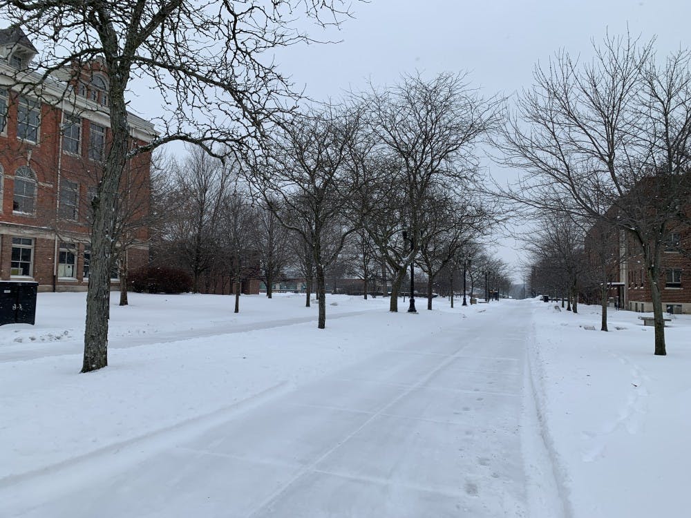 Icy Path Through Campus