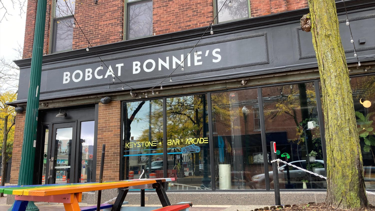 Bobcat Bonnies.jpg