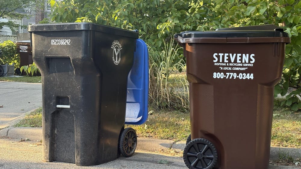 Gray recycling bin with blue lid and brown trash bin with black lid sit in the street. Brown trash bin reads, "Stevens Disposal & Recycling Service."