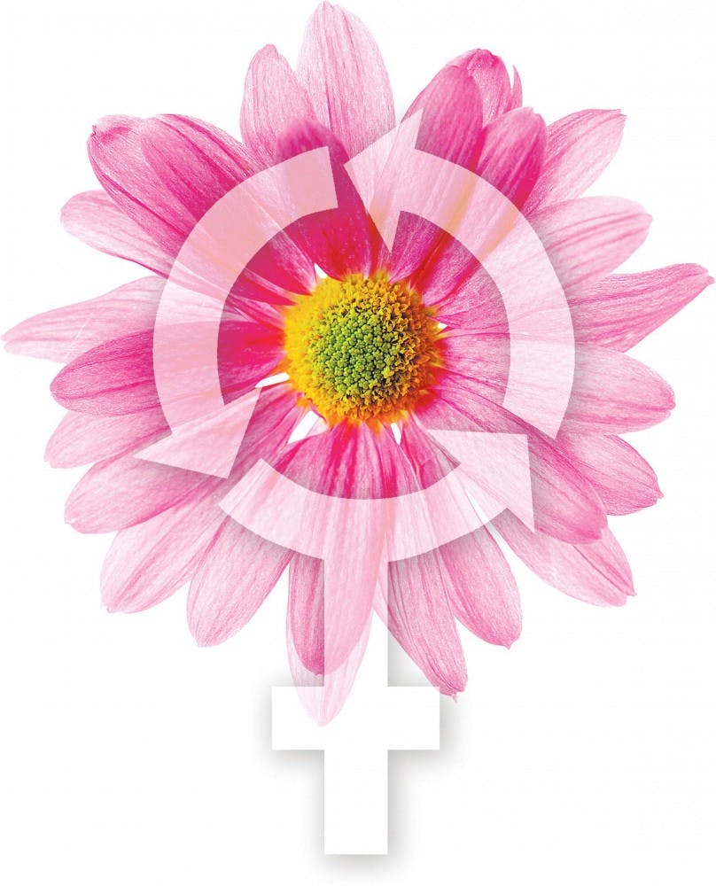 20080321 Female cycle