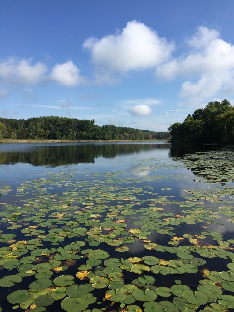 EMU Kresge Environmental Center, also known as Fish Lake. Photo was provided by Lisa Barry and GREEN club member Parker Maynard&nbsp;