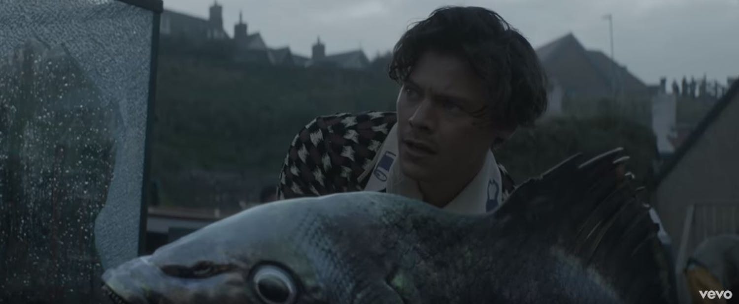 harry-styles-takes-us-to-eroda-and-befriends-a-massive-fish-for-bizarre-adore-you-music-video.jpg