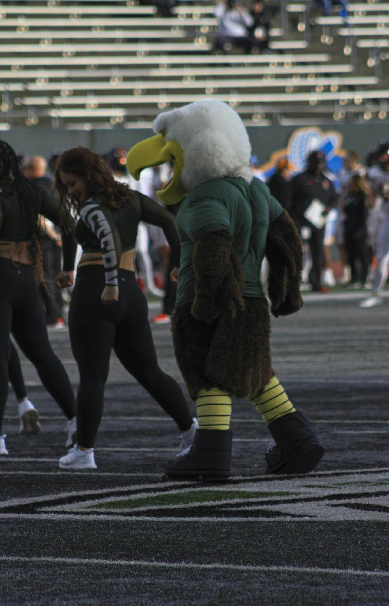 Upload Gallery (auto-generated)