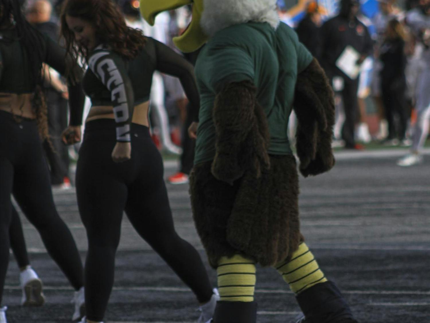 Upload Gallery (auto-generated)