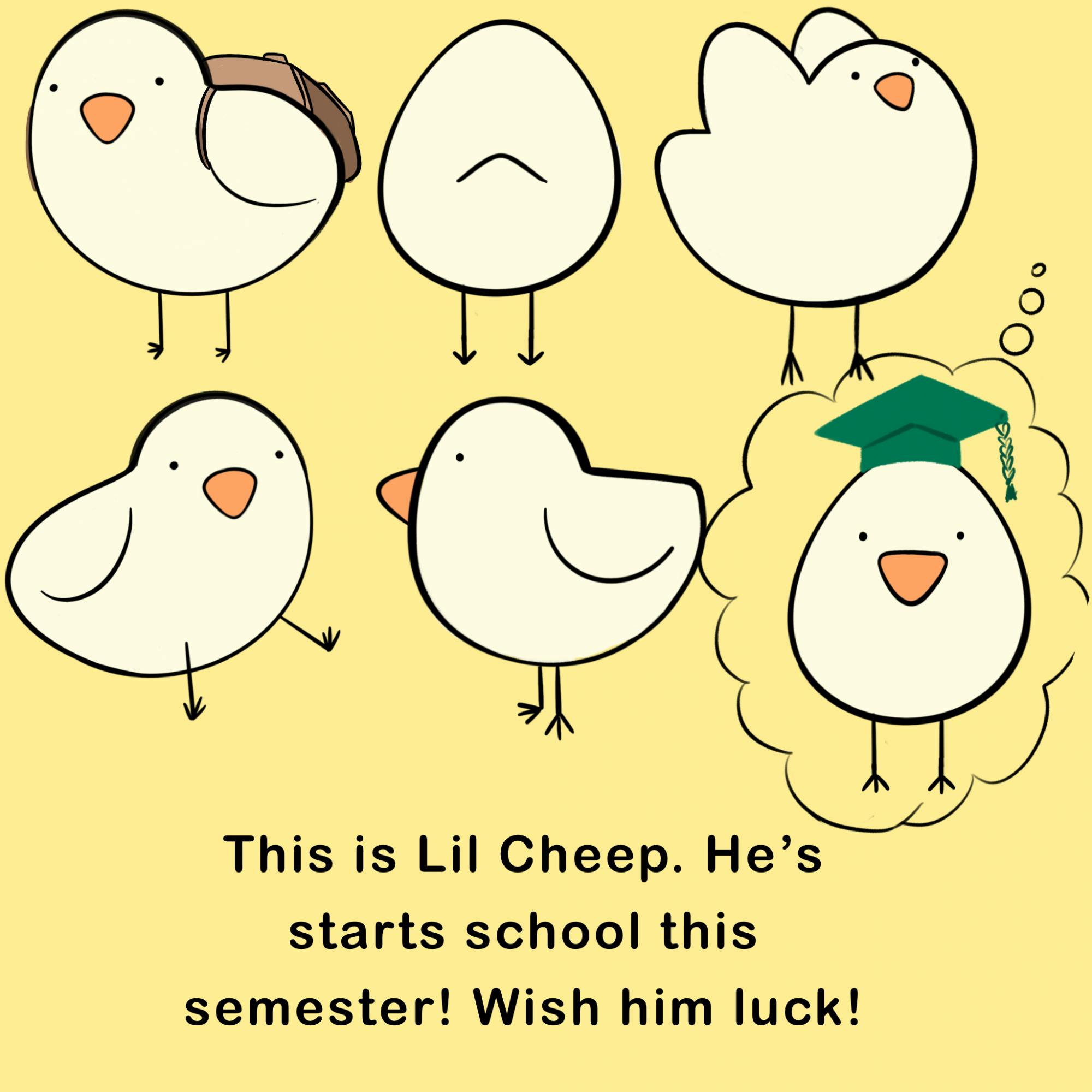 Lil Cheep
