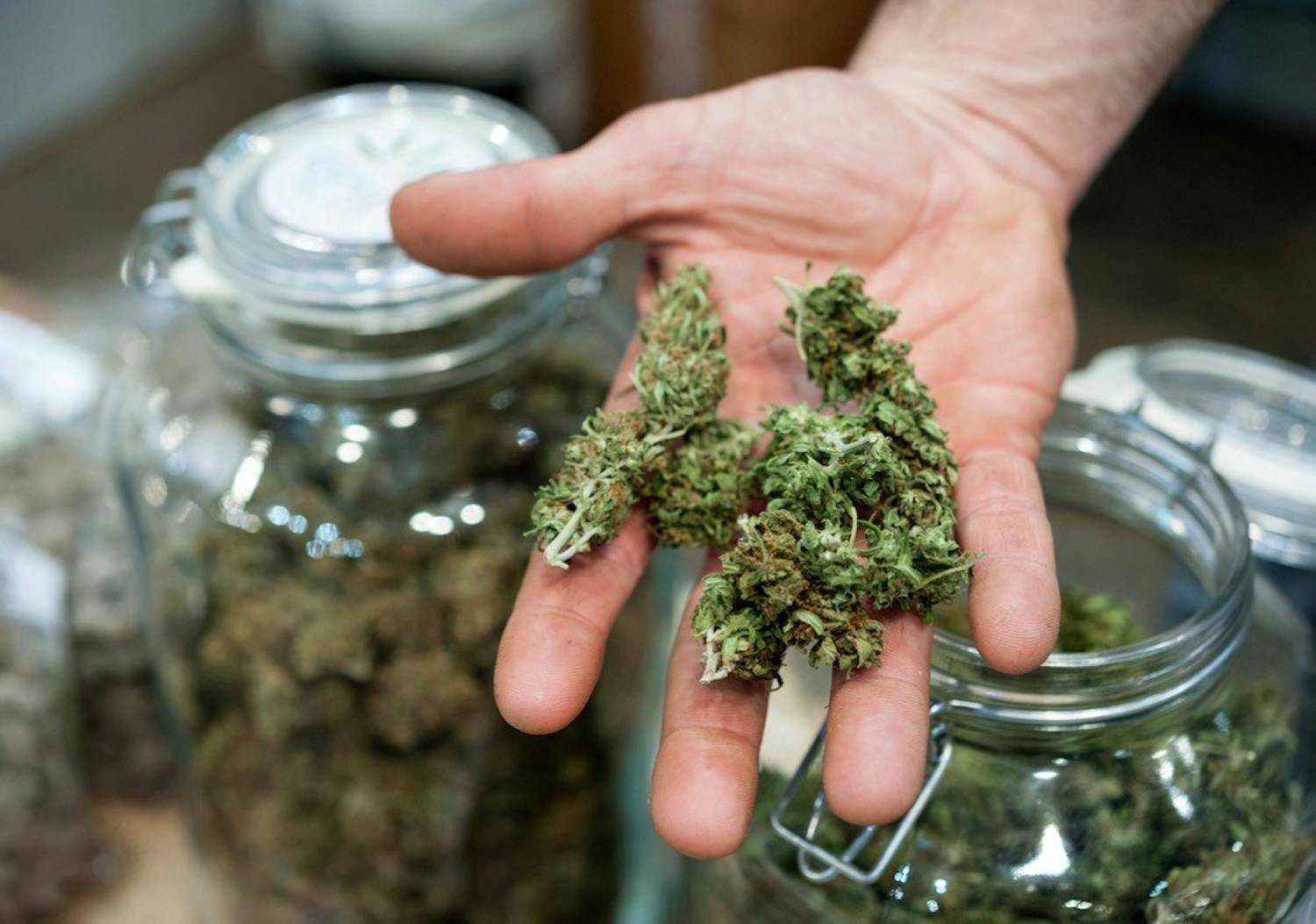 Washtenaw County won't charge for marijuana 