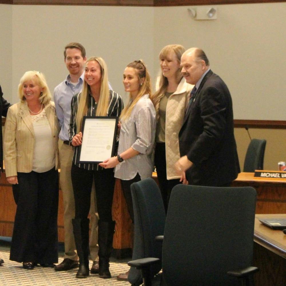 Womens Volleyball Stands Tall