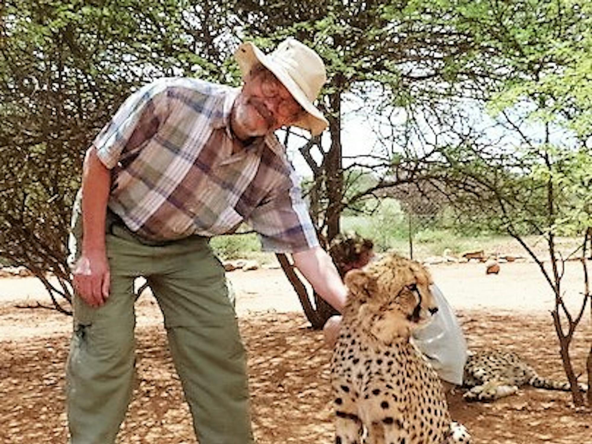 William Sverdlik, PhD, Fullbright Scholarship recipient posing for a photograph with a cheetah.&nbsp;