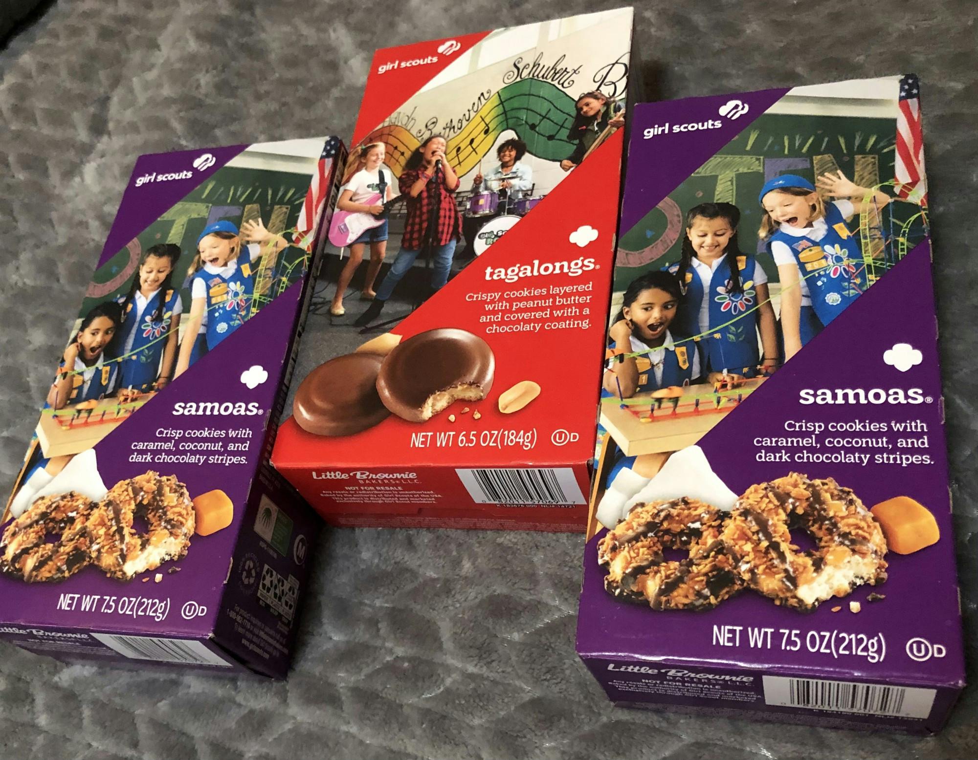 image_50590209 (1).JPG