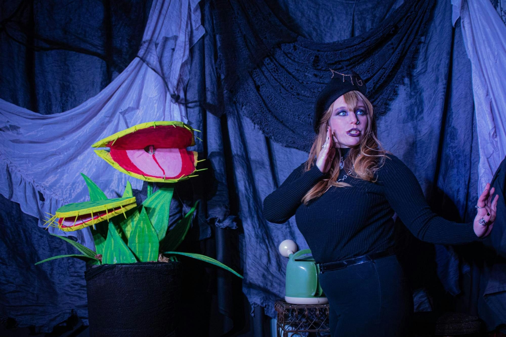 Black Cat It's Alive performance