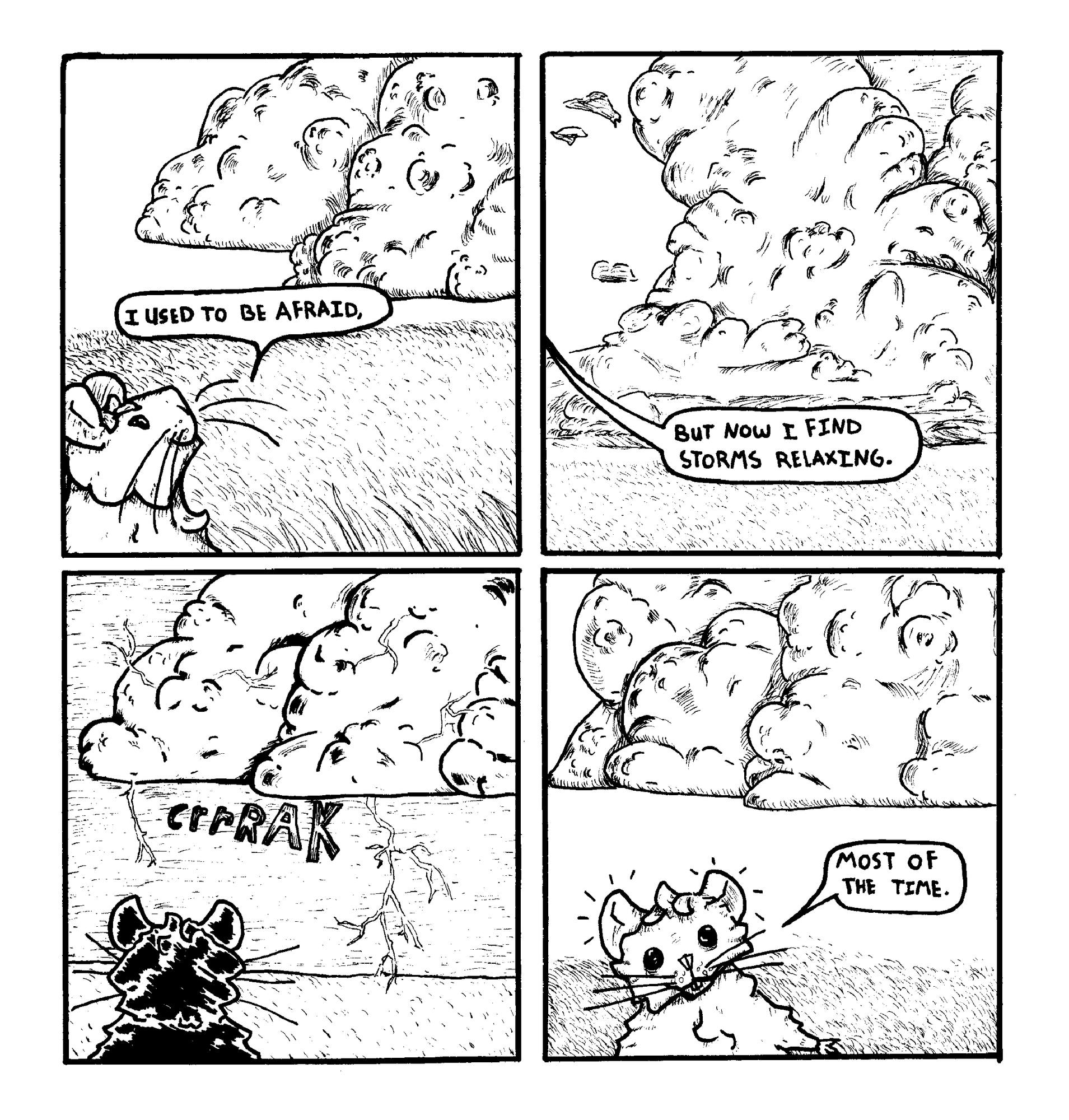 Thunderstorms