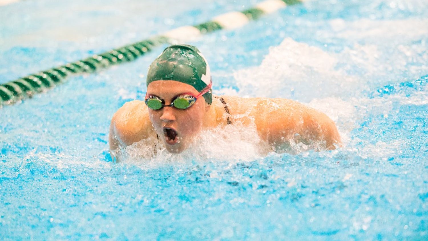 EMU swimming and diving