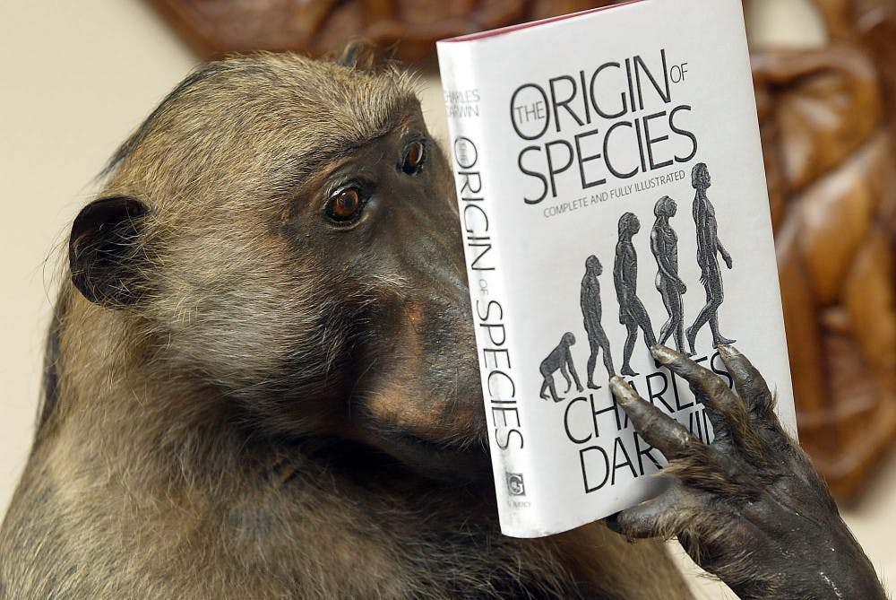 LIFE RELIG-PATTERSON 2 FT