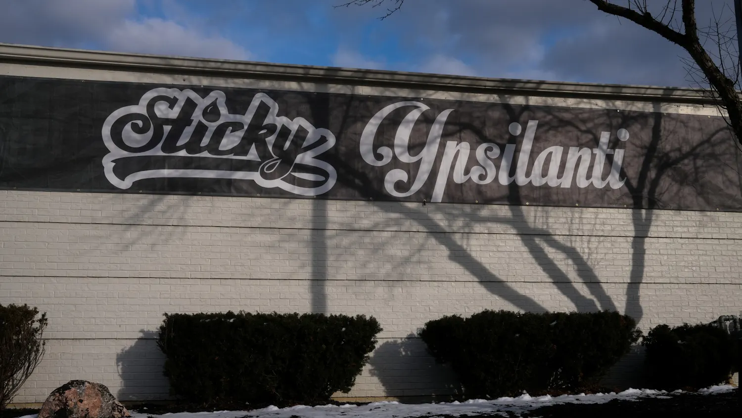 Ypsilanti Dispos