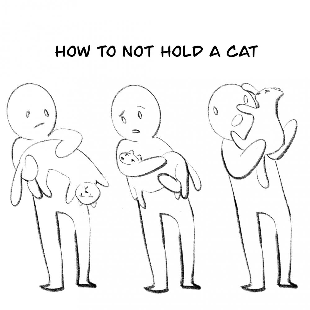 Drawing and Yeehawing