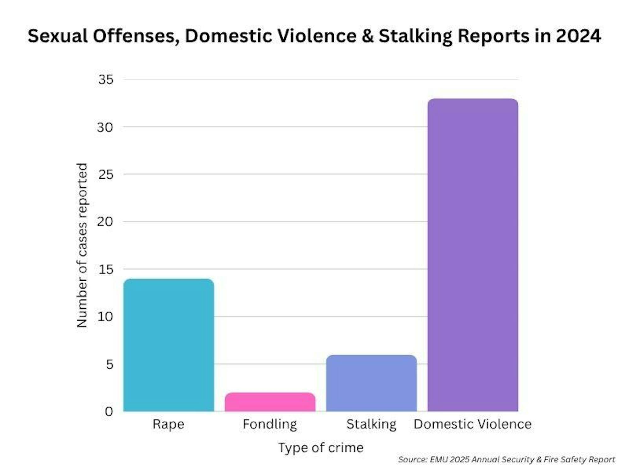 A graph shows the number of rape, fondling, stalking and domestic violence cases reported in 2024. Domestic violence made up the most cases of the four types of crime.