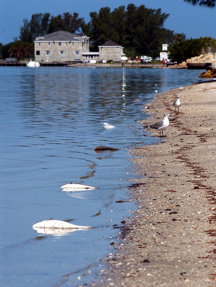 US NEWS ENV-OCEANS 4 BR