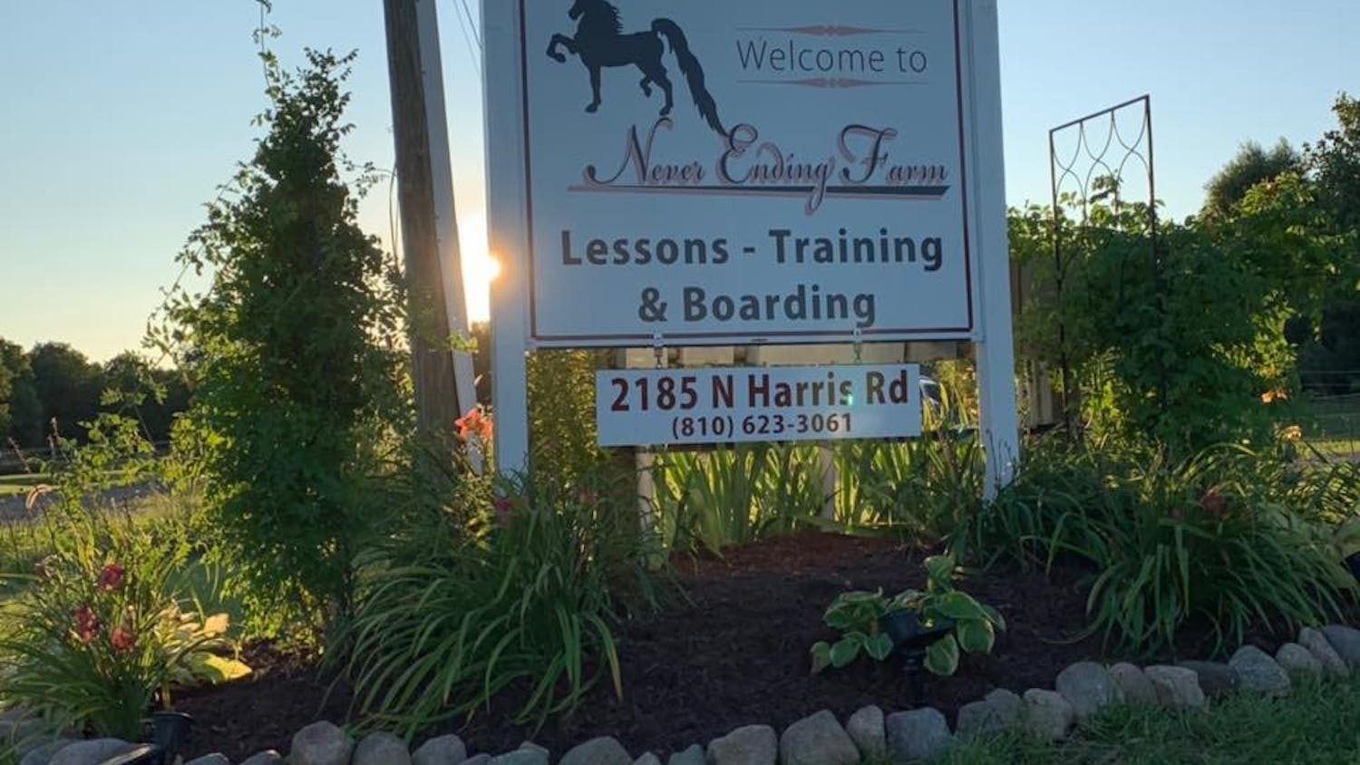 Never Ending Farm.jpg