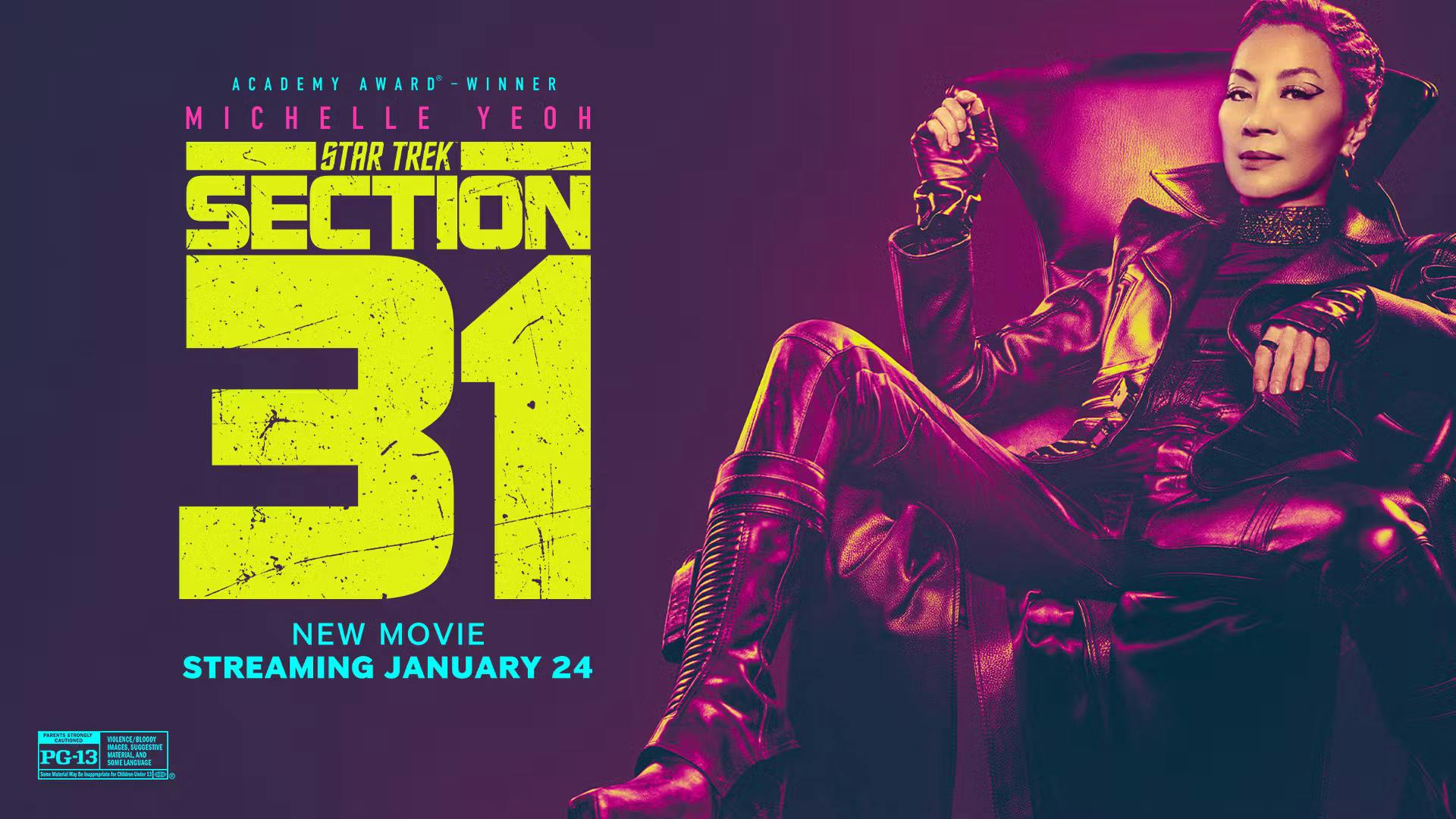 star trek section 31 poster.jpg