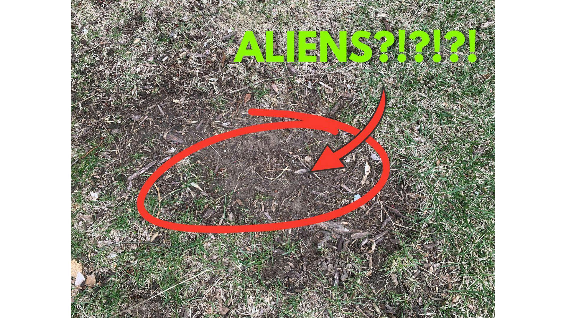 ALIENS?!?!?! cover