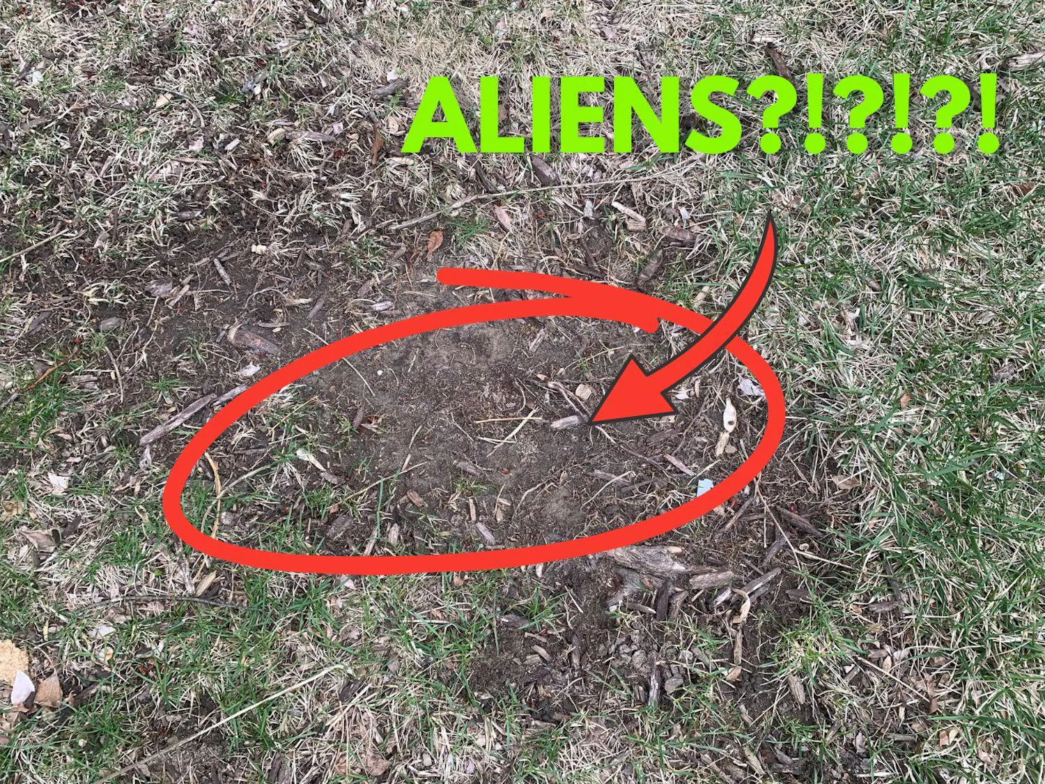 ALIENS?!?!?! cover