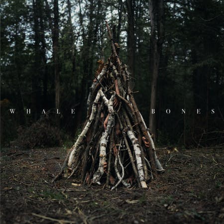 Whale Bones.png