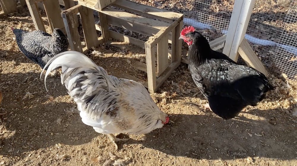 screenshot-2025-02-17-at-12-28-37-pm