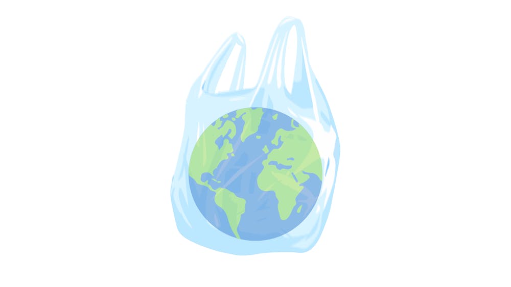 The Environmental Impact of ZipLoc Bags