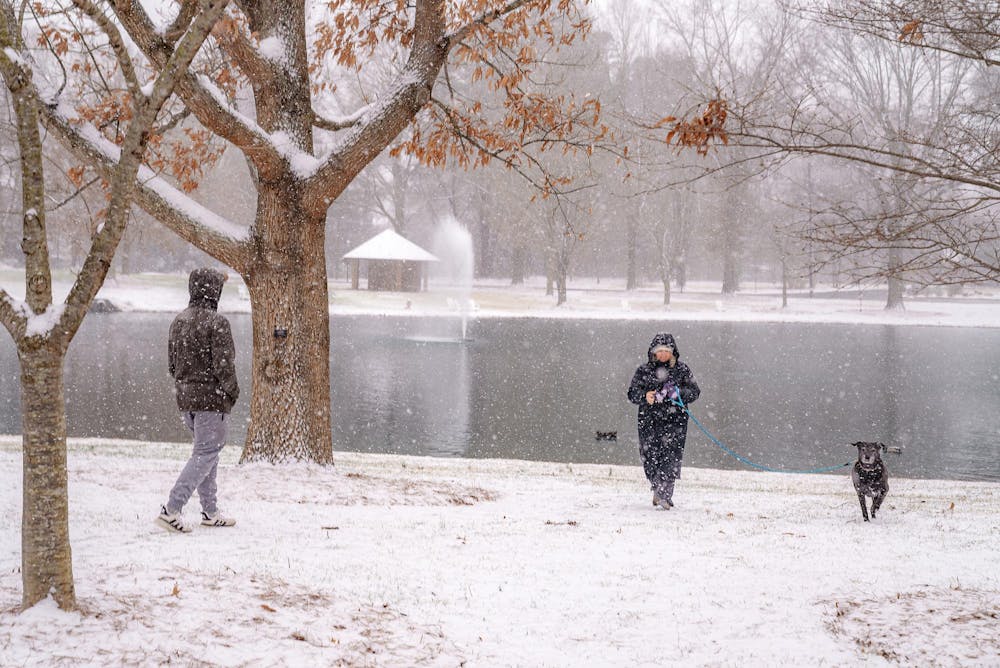 wu-elon-snow-day-25-2-19-2