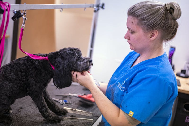 Gibsonville groomer opens new realm of ‘pawsibilities’ for residents