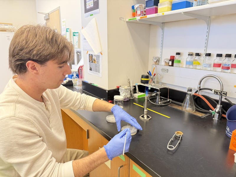 Student research discovers suspected cause of plant disease