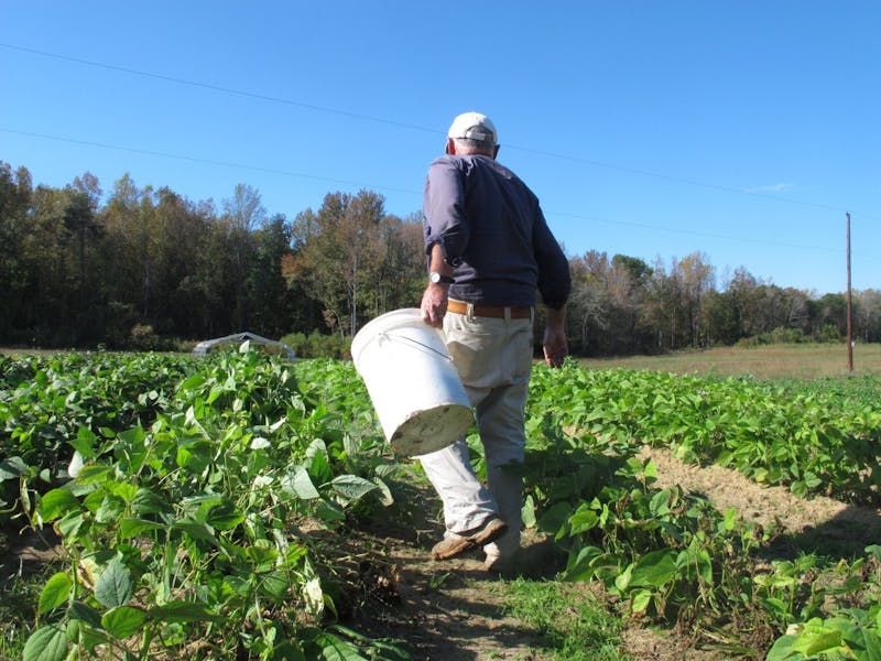 North Carolina S Small Farmers Dwindling In Numbers And