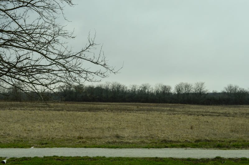 Taylor University has acquired land to make housing for staff and faculty easier. (Photo by Claire Tiemens)