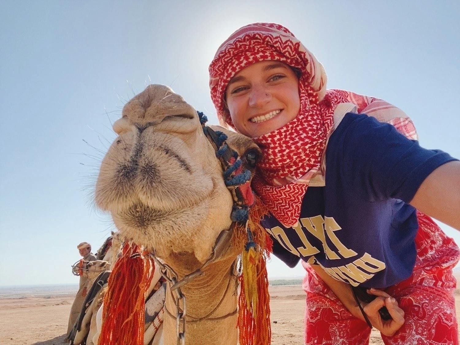 Sinai Camel picture[34].JPG