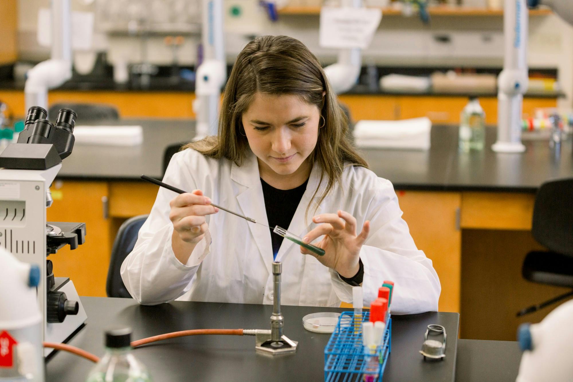 Pic for new academic programs article.jpg