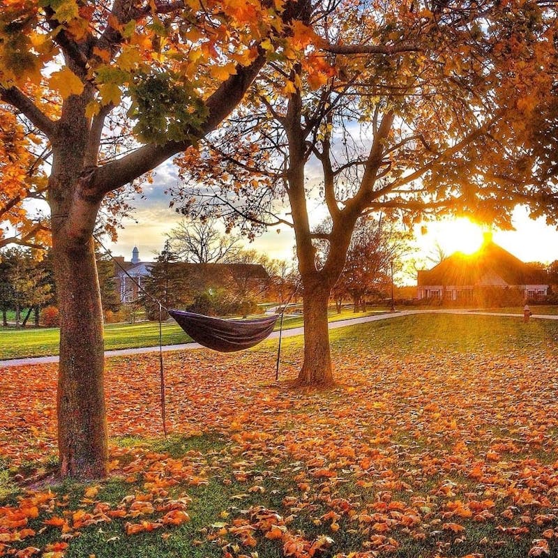 Hammocking is a popular activity during the fall.