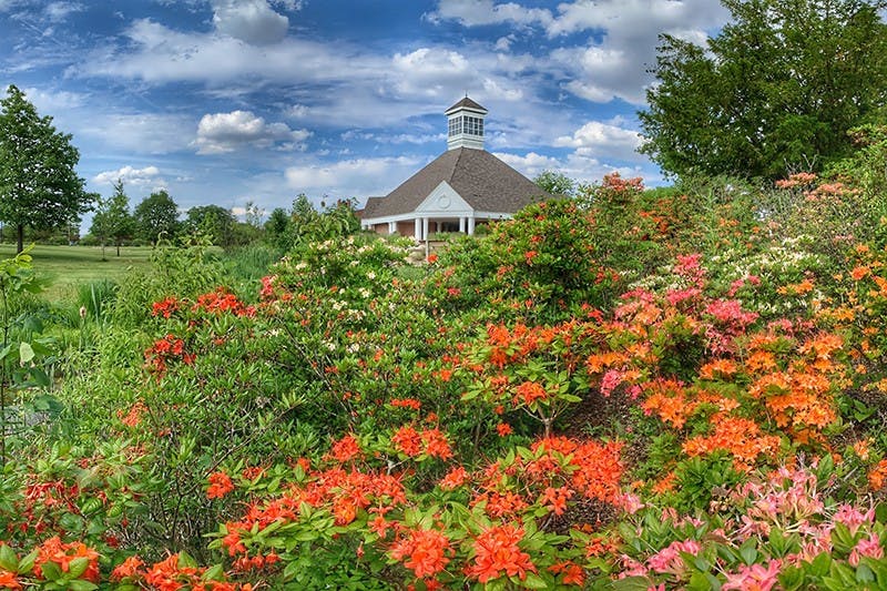 Flowers in full bloom on Taylor's Upland campus. (Photo provided by Taylor University)
