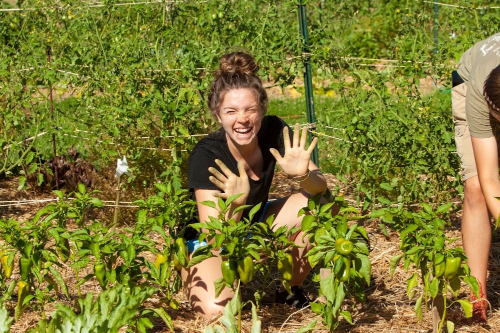 Bekah Hynson: planting the seeds of sustainable development