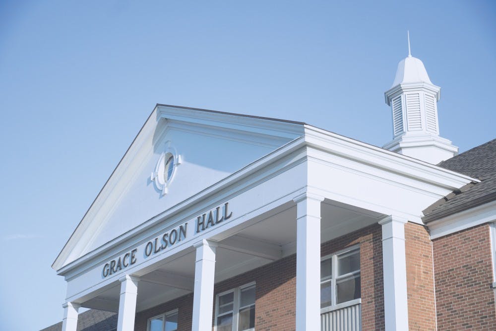 Wasps invade campus dorms