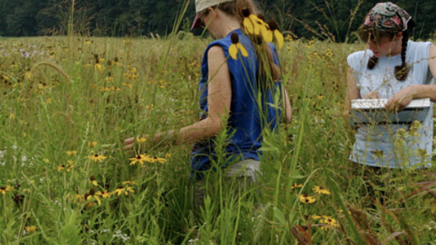 Taylor Environmental Science stock.png