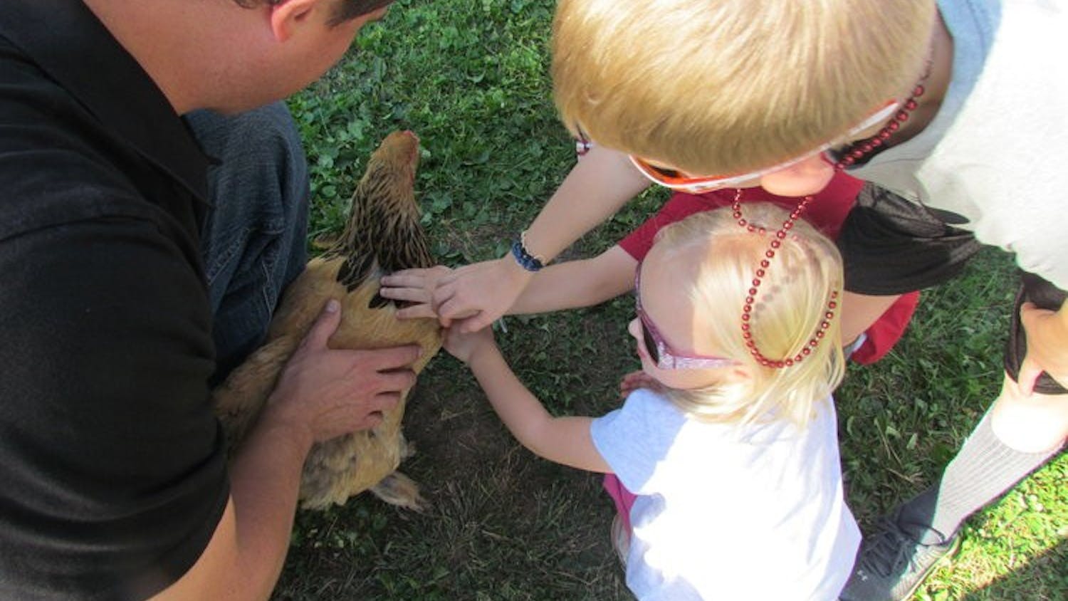 westwind farm and fiber.jpg