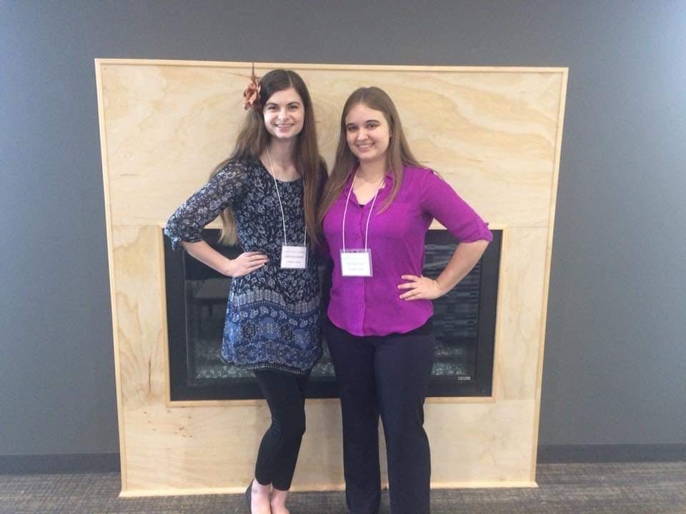 Hope Bolinger (’19) and Alyssa Roat (’20) collaborated to write a new superhero chat fiction book. 