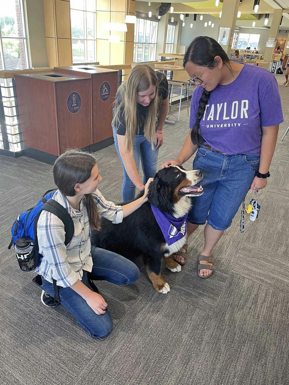 Therapy dogs alleviate stress among students