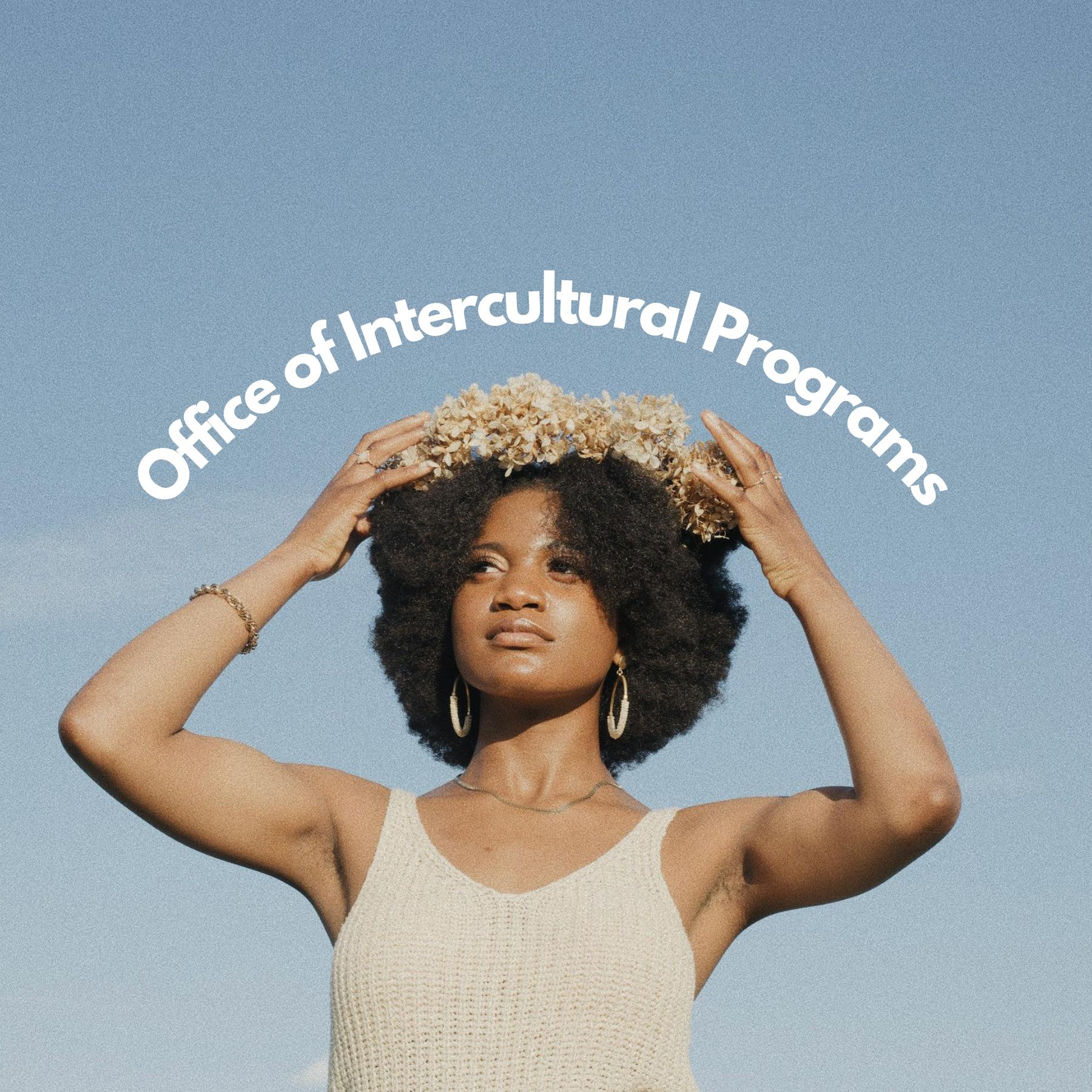 Intercultural Resource.png